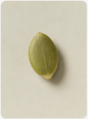 Seeds